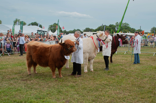 Kent County Show 2025, Kent County Agricultural Society - Ref #55379 ...